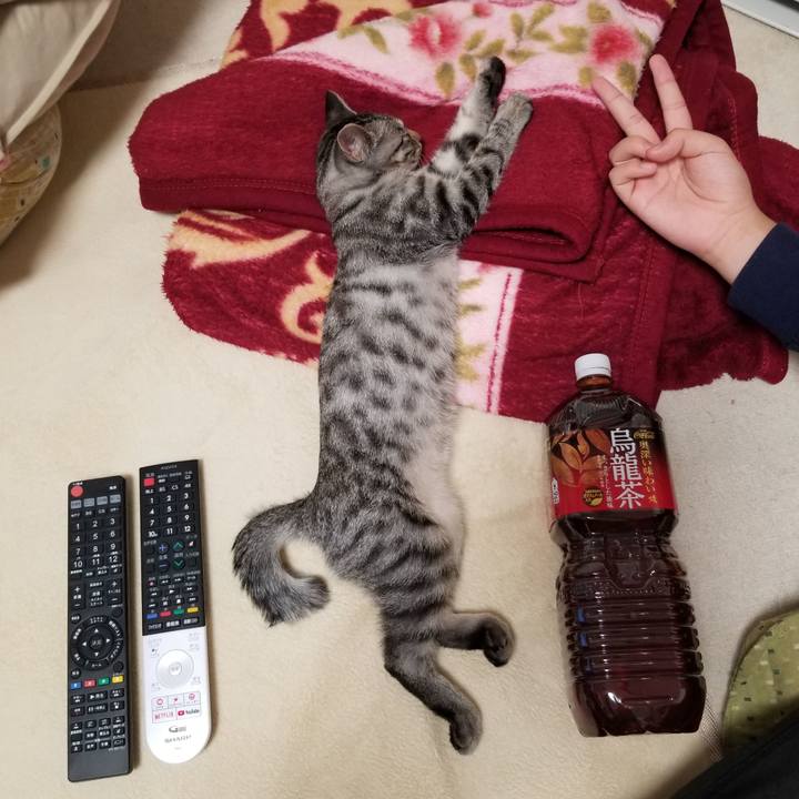 E53fa150 8b8f 4c85 b127 7a479c184cf6 1667736948380