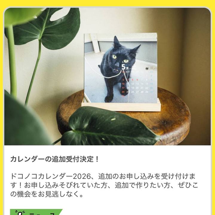 E53fbd2c 6b56 466c b0a5 295bc4bddf15 1764948222968