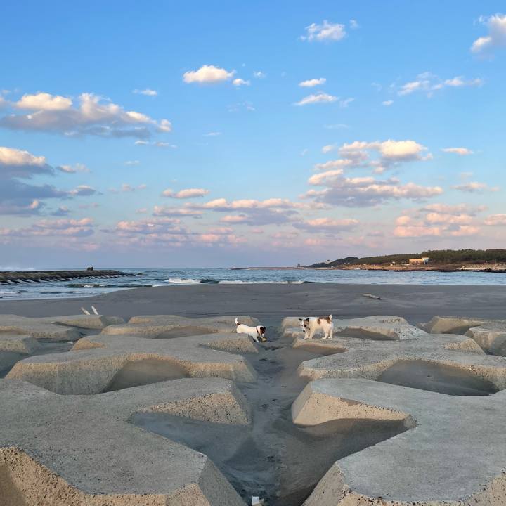 E53fd000 8eda 4a20 ba22 6a6e74888262 1761729863976