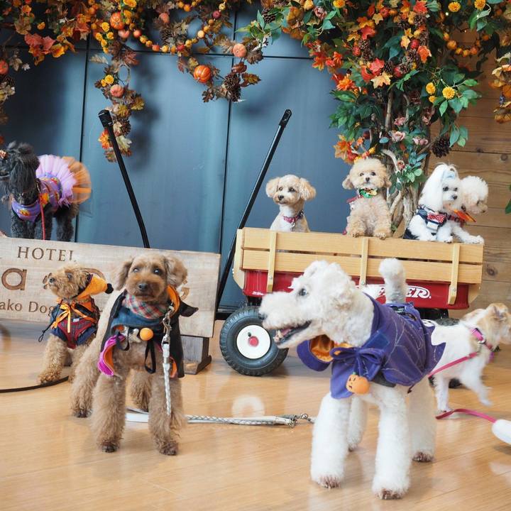 E53fd427 5b01 4637 991c 2e68d67cc075 1572525402826