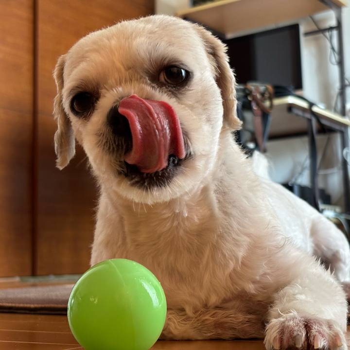 E53ffc44 559a 41f9 8f6d 0224595d16a7 1756936249543