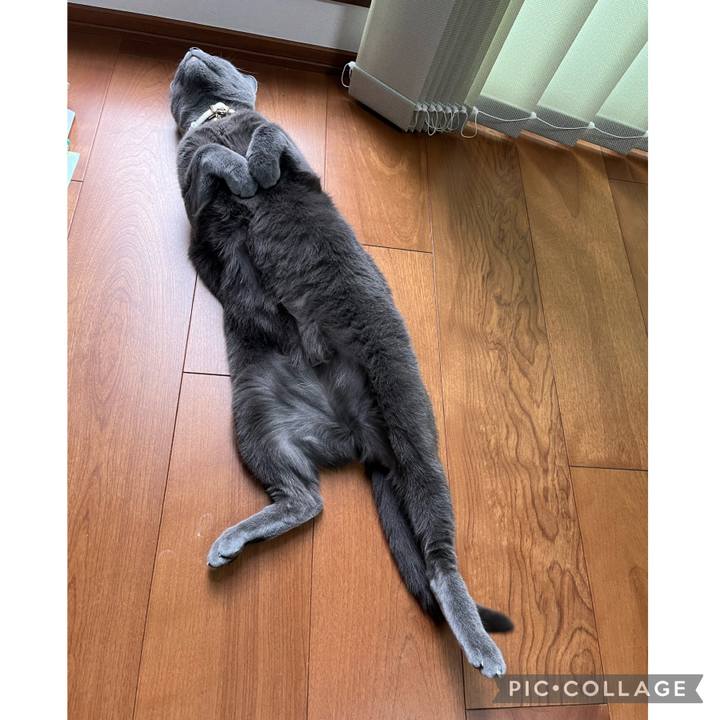 E54013be 4769 4835 96bd f05962a5e29e 1686180592758