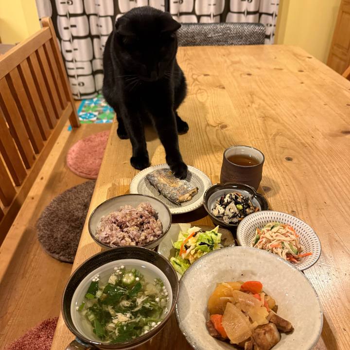 E54017f7 339e 4837 9733 864598df621f 1770894519356