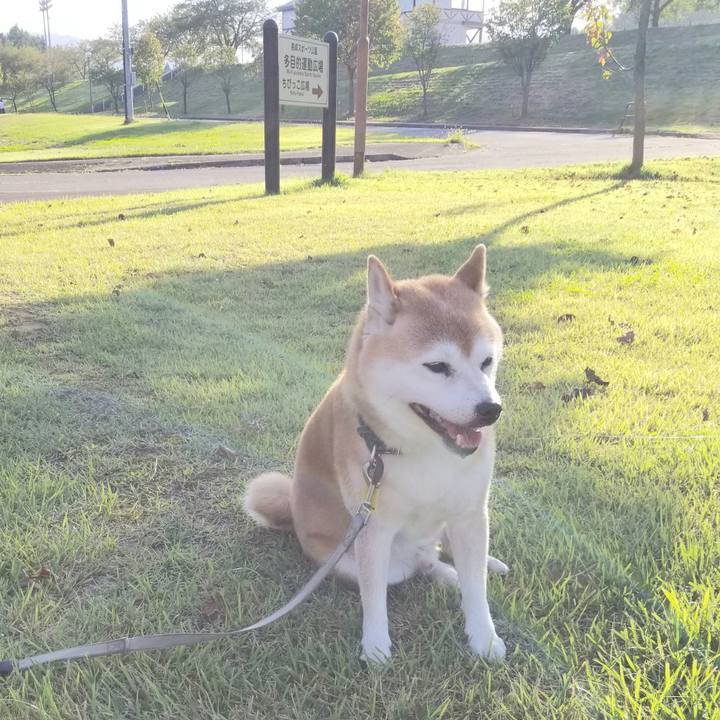 E54046c5 0ff9 4541 8f01 843147a617bc 1632036212553