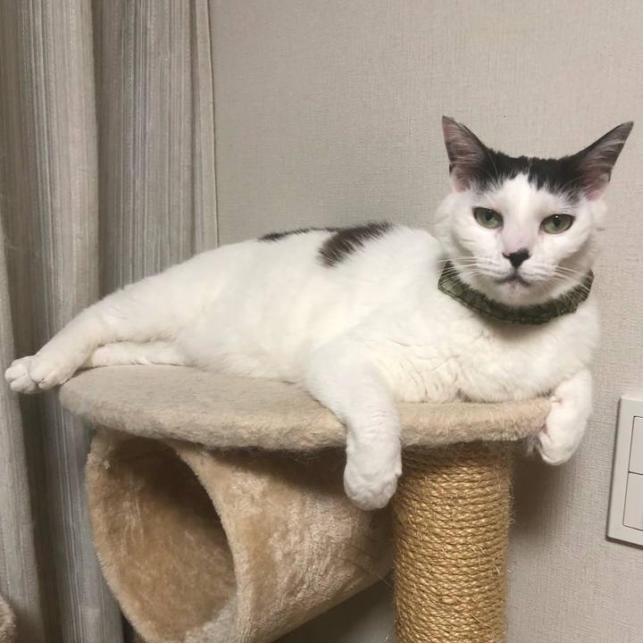 E5404760 f062 4147 9f3c 1a77a5799a26 1562162684849