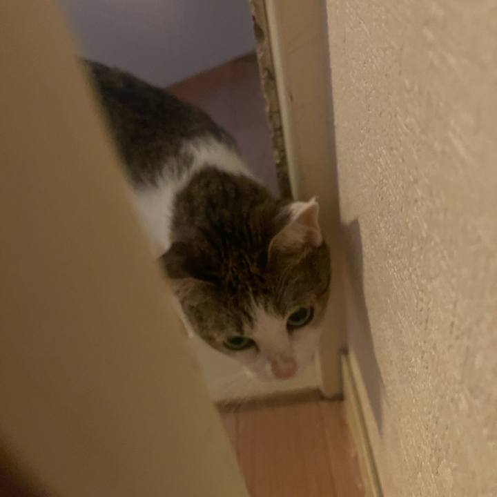 E54060e1 b0e0 4315 bf39 cc1ed5b6b5c3 1629874756634