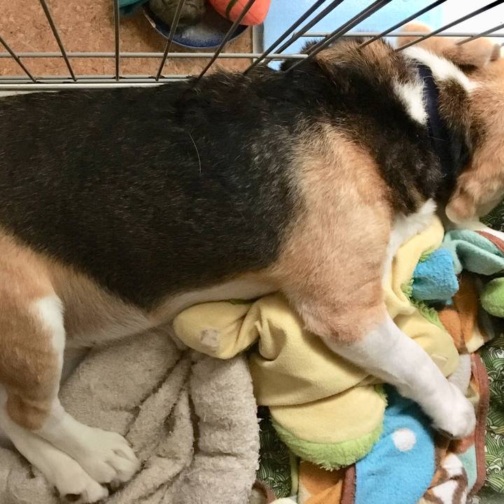 E54066e4 ea32 4db8 87c7 a8b4a181719c 1537595393341