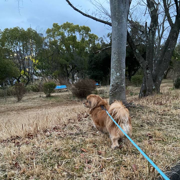 E54071ea 1e0b 45a1 b129 0cee7eba4134 1613425561708