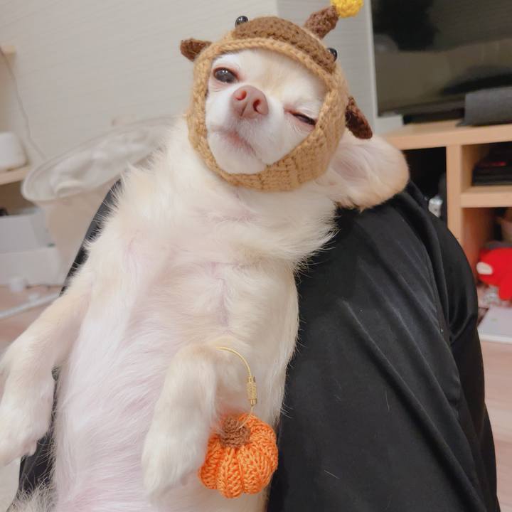 E54084c7 e693 413a b329 b27faa99e21f 1761280818306