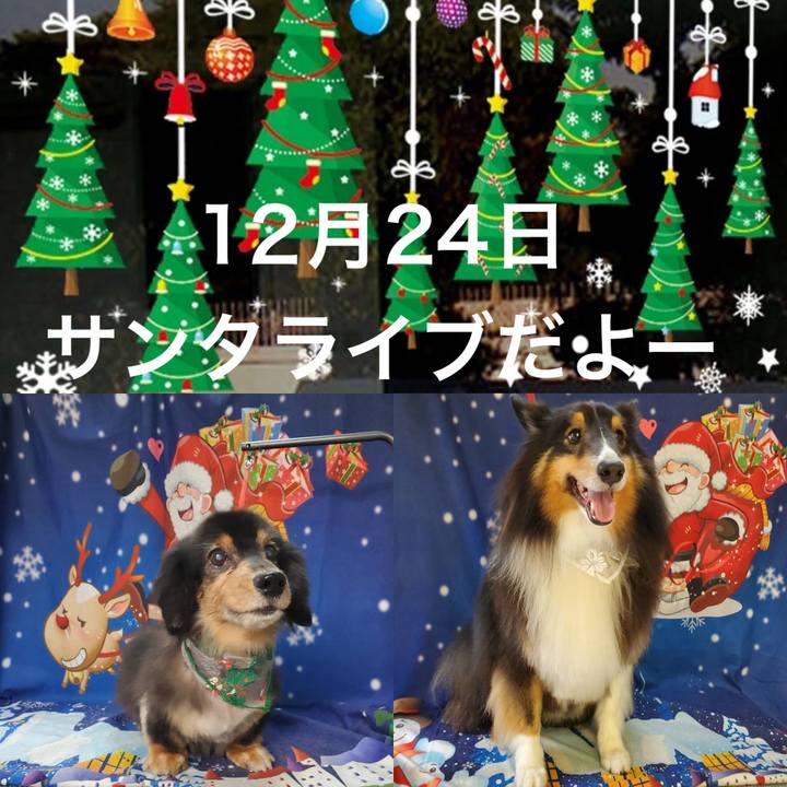 E5409242 906e 48f0 a737 c21ebeecfddf 1702733456973