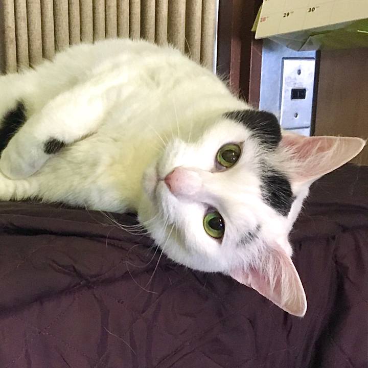 E540956d c7ff 4b7c 94af 9f5f2cdbedaf 1591517129548