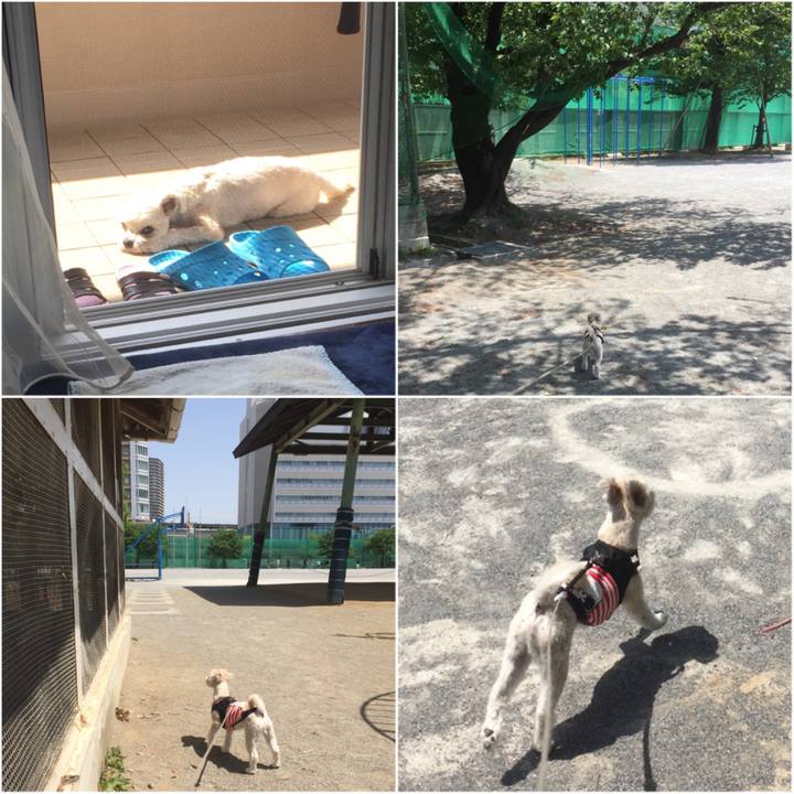 E5409f2b 43d2 4ab2 9cc0 b831065c56c8 1524991735734