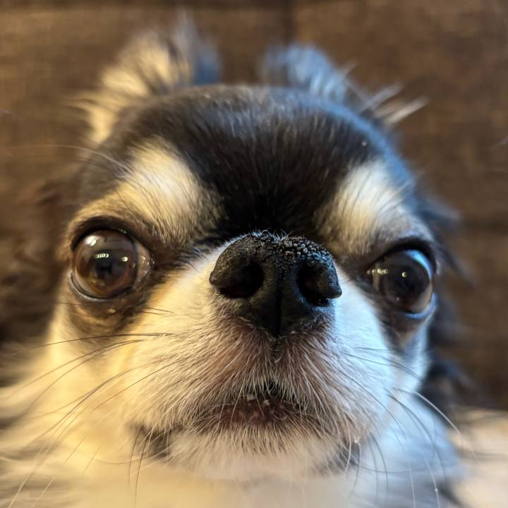 E540b9a3 dcfe 4419 8019 612bc50e056a 1748040739499