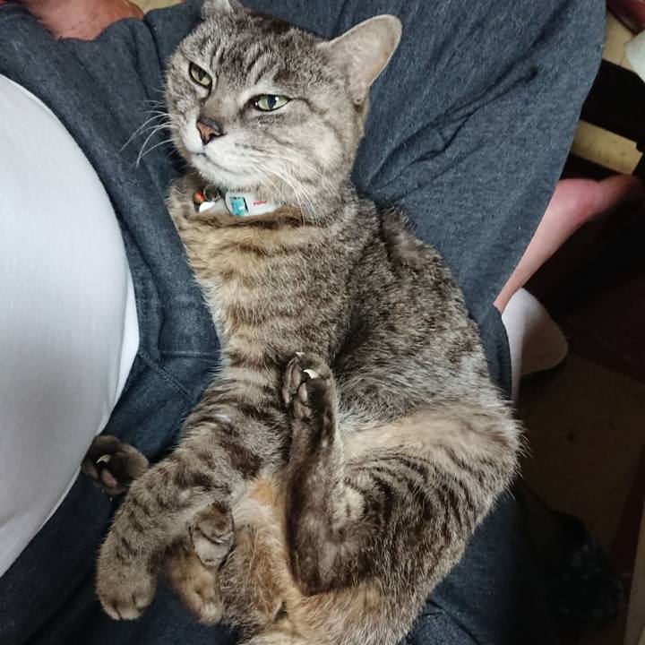 E540bffb c8d7 4540 92f9 484de75cdbb0 1558091892444