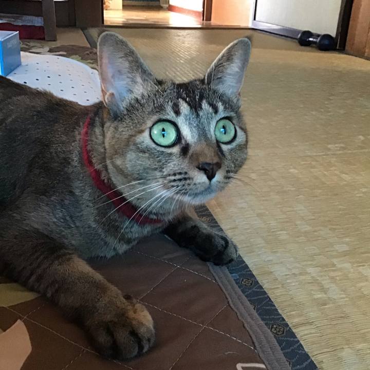 E5410108 be12 4275 8603 8ae4cd40b140 1601173812199