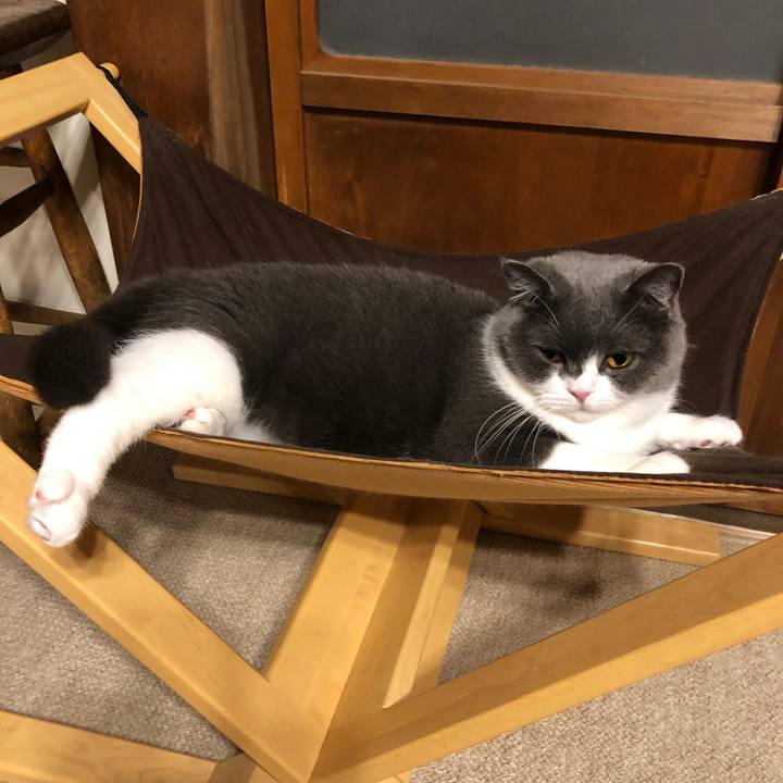 E54105fc c0a3 4d48 8be1 4b3e1570b37a 1573520020979