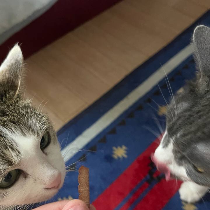 E54121e9 f829 426f 9b4b 6391f02c960b 1624781463213