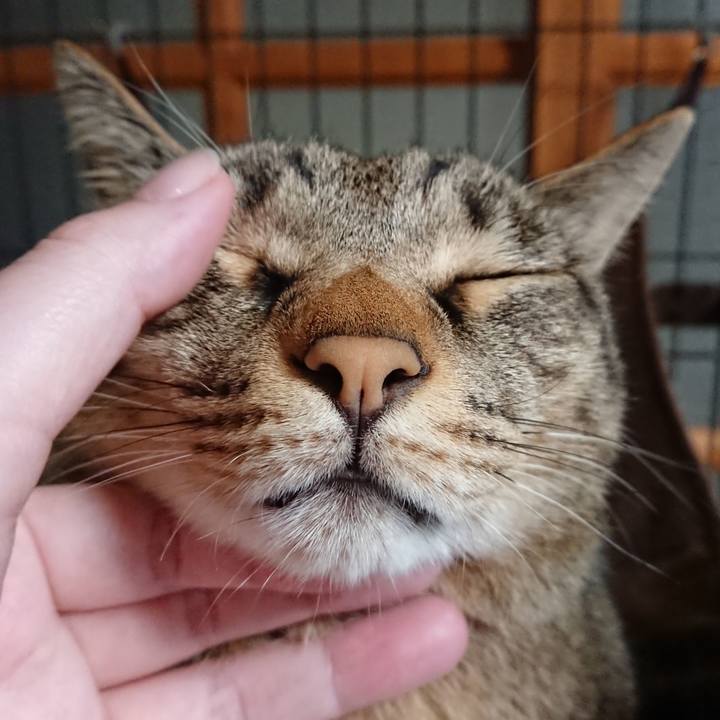 E5412fba e57f 4c36 86a3 872ad016fffb 1561770441021