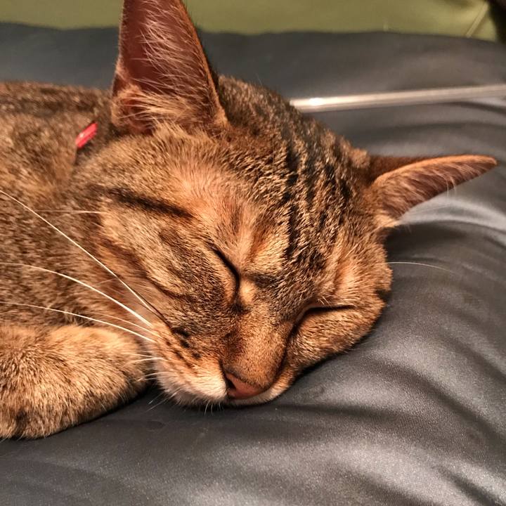 E5415f3c 7541 4507 97ec 6eb645c9e2d6 1591056726213