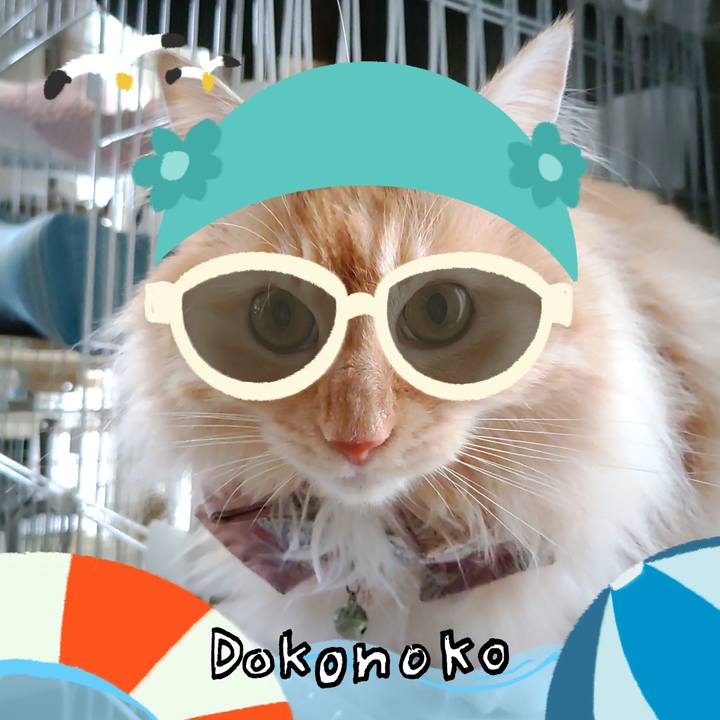 E54183b7 1864 4eaf 8eab 3470307eed99 1723180569639