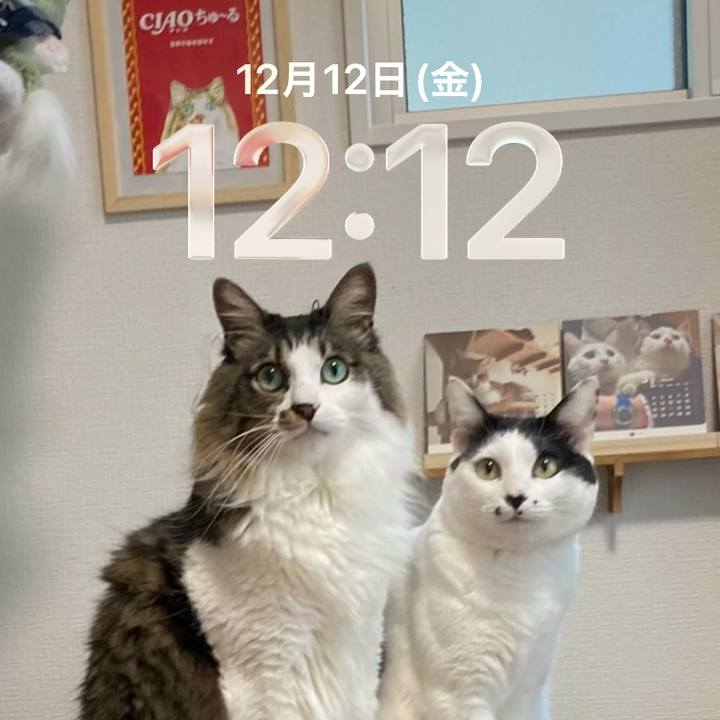 E541b2cf 032d 483b ab73 b4eab7a06524 1765509192337