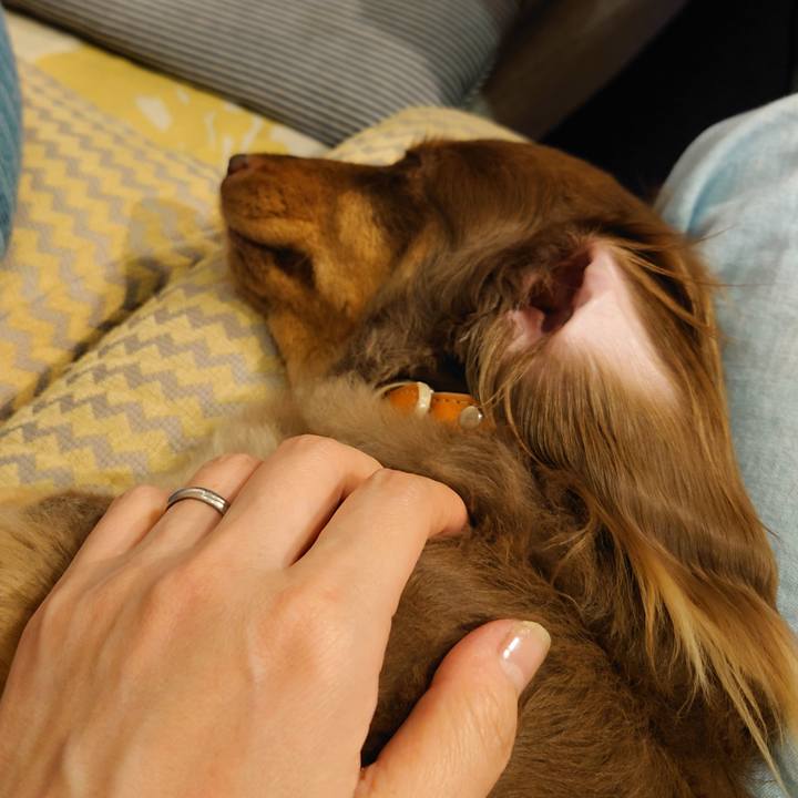 E541e82e 2042 4533 86cf 25d2b0e30da2 1629468431467