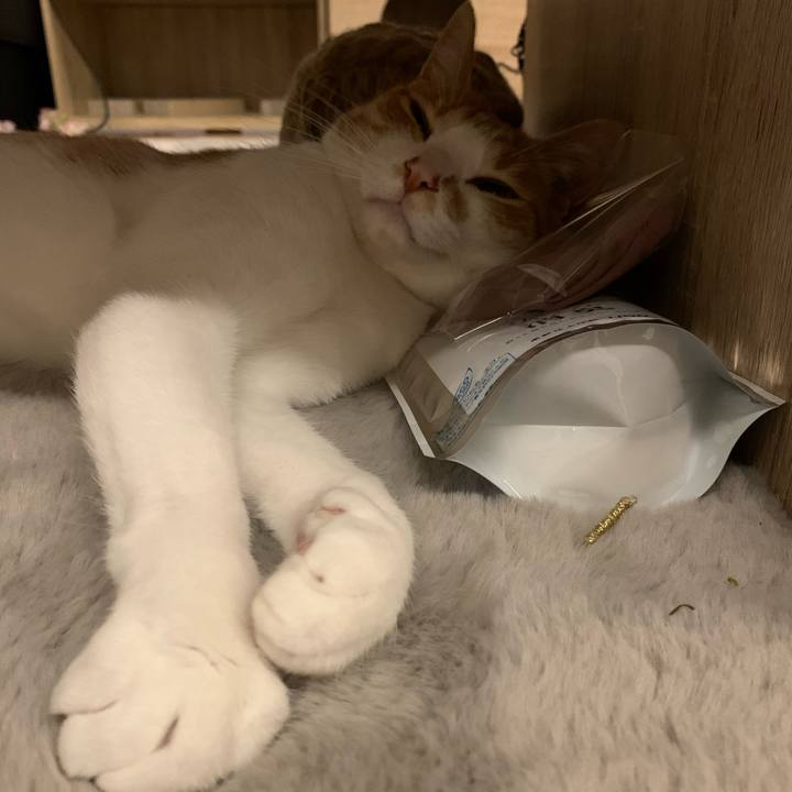 E54219fe 12f9 4f8f accf 4d9bbba52477 1621213532949