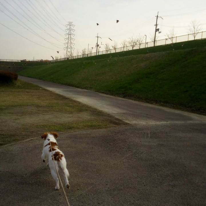 E5422d78 4314 4c44 973e 195d00a92cda 1520854438256