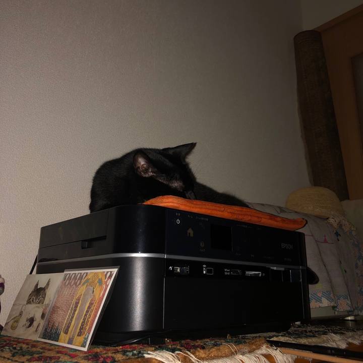 E542371a 5ad3 41cc a461 44e76a326411 1562617632881