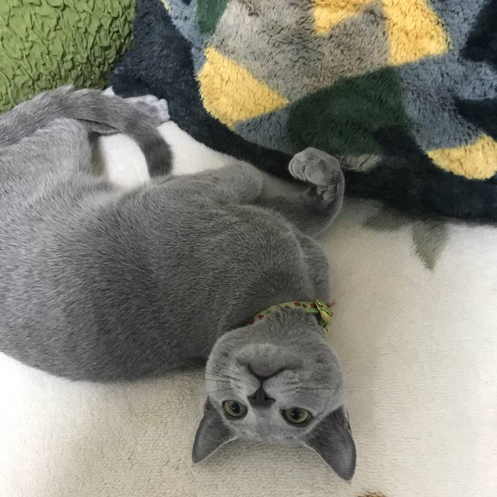 E5426116 d05d 4651 b657 688d5c6a567a 1510580208456