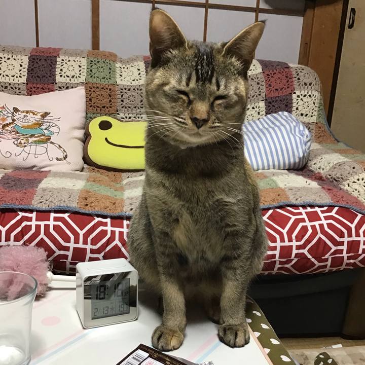 E5429e5b a215 483b 9e91 4226245c36da 1581586187343