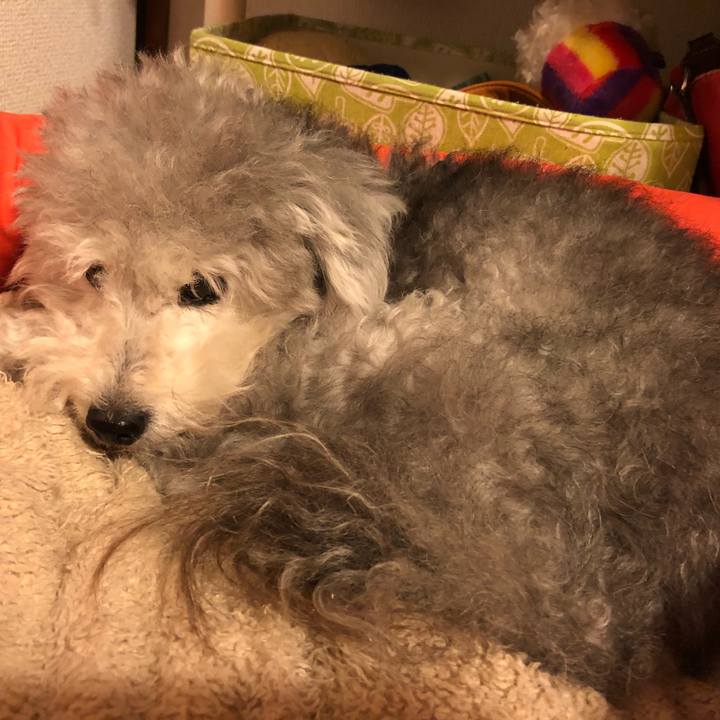 E542a8fd 30ed 4eb2 a102 589c1d967915 1564354364612