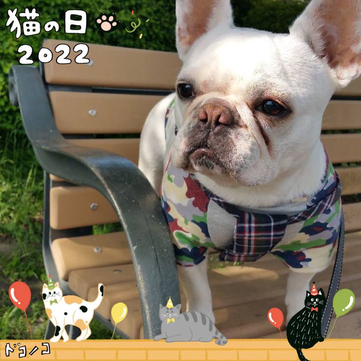 E542aded 69c8 4f77 9bfb 8daeb2981db1 1645505275779