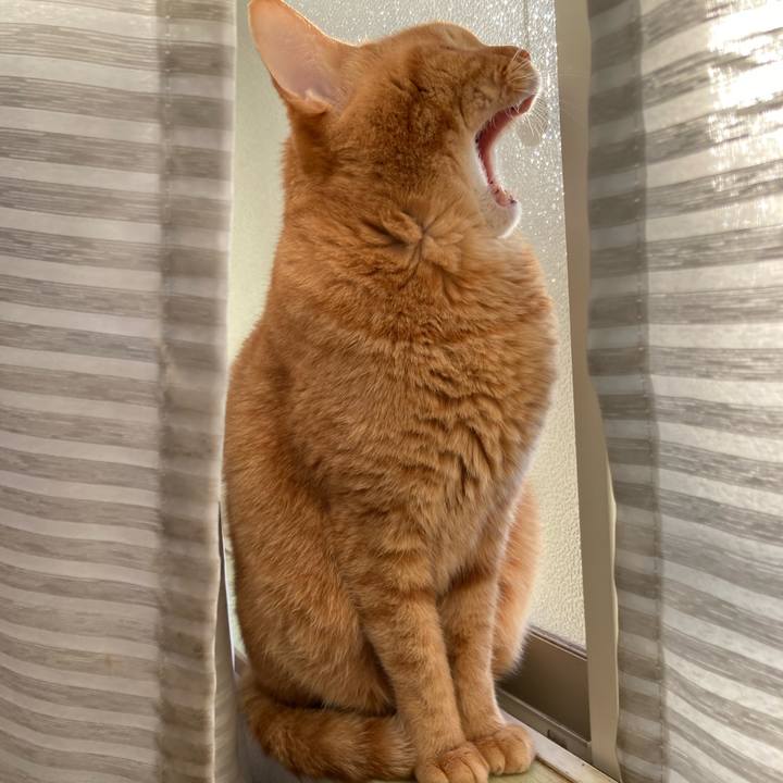 E543095e a58e 4cfa 80e5 bfcfe95caa06 1770451941797