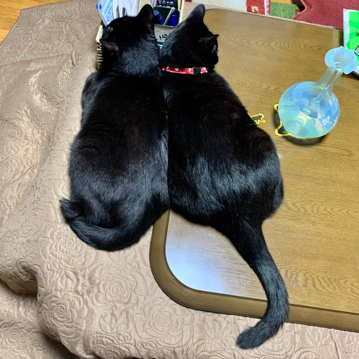 E5433c01 3ecd 42f9 8748 3b64c179aeb4 1608644061045