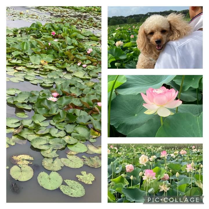 E5434765 2813 4dd3 abeb 19281b29384a 1626035659813