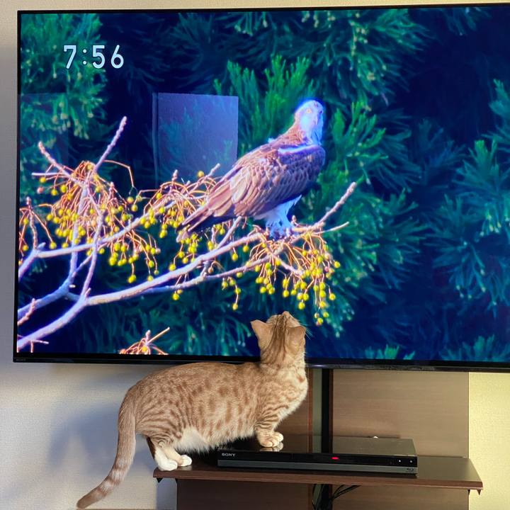 E54366b2 fa95 4ff2 9cb7 5ae37f0e8a85 1644102064111