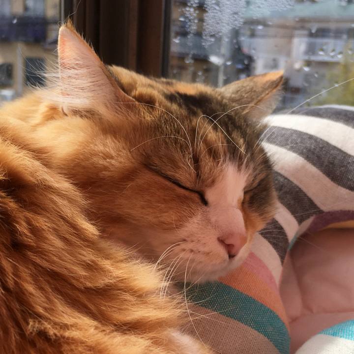 E543880d cc3a 4337 84cb bd8f14b30024 1583466916193