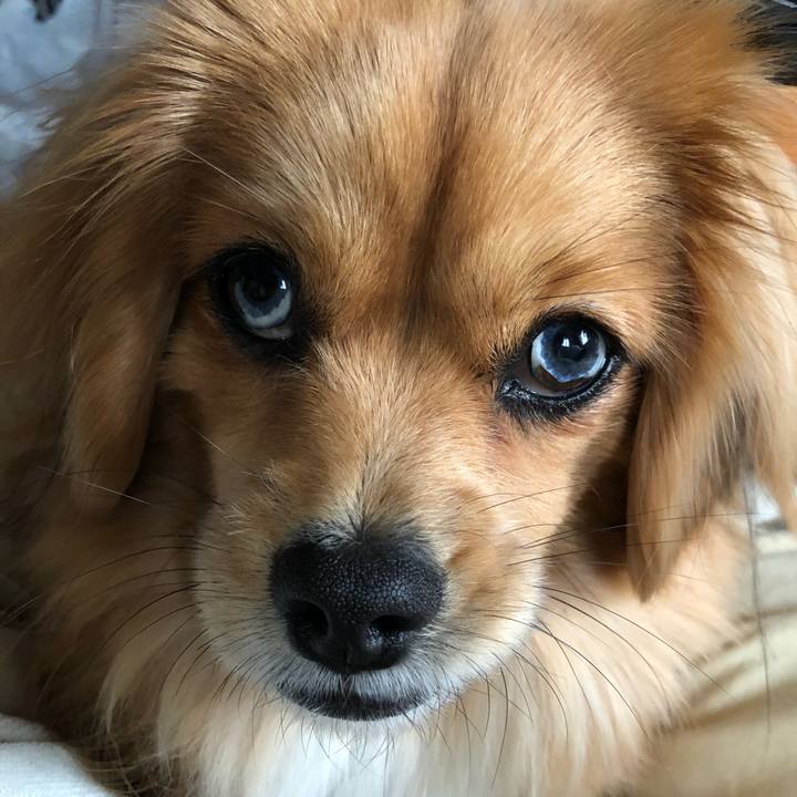 E543abff 1eff 4619 842d f71c309a8910 1519529235973