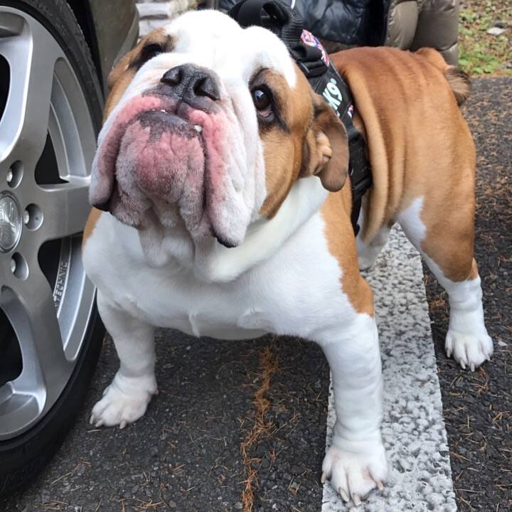 E543e24e 9b81 44c0 ab66 33337136a02c 1510879912866