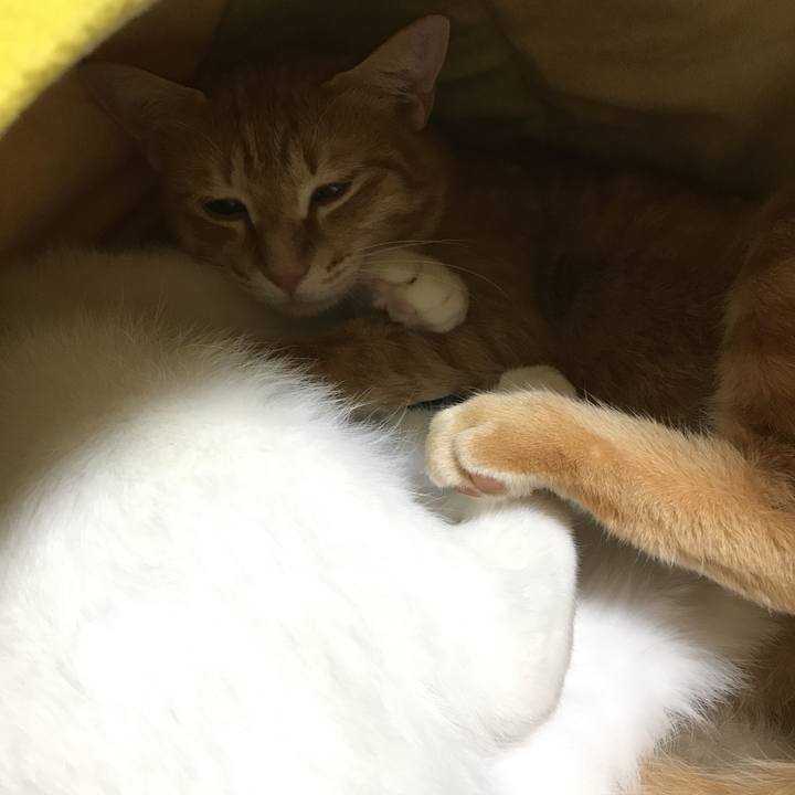 E54405da 4980 4859 9ae5 eccd2c26049b 1513781575039