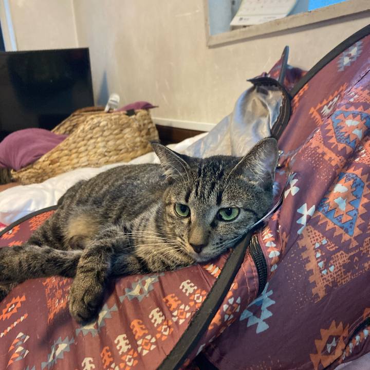 E5440c52 53e1 48a1 bcd2 6e3637930e88 1759584122492