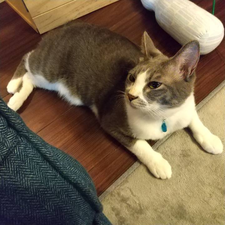 E5443ba7 f7c1 4bd9 960a 624040972a91 1618265008721