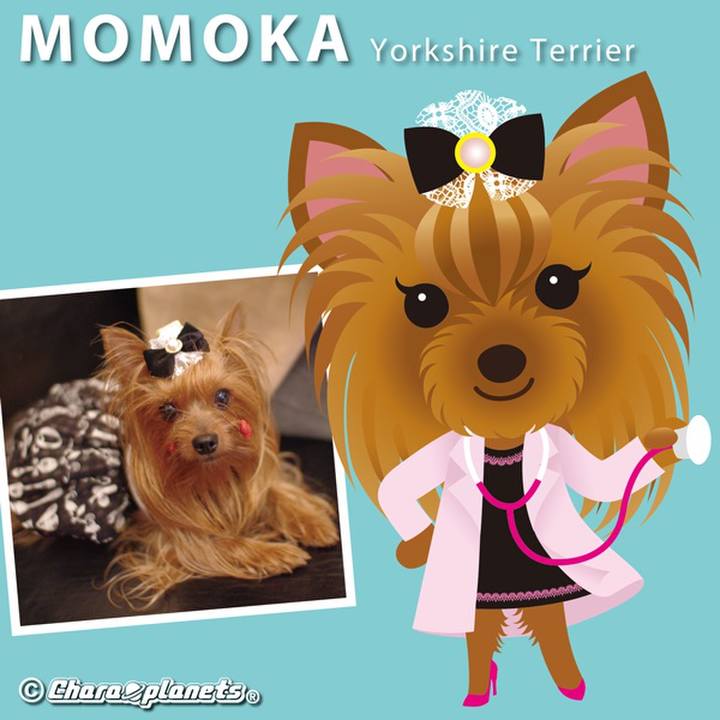 E5443ddf 9c5a 4bd0 83e8 067ee4943bad 1560129578109