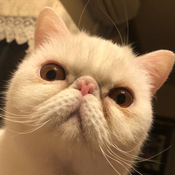 E5444732 f66d 4867 8697 c61a2addaa8d 1646131335883