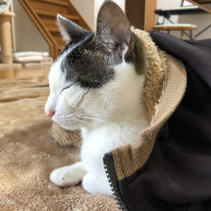 E5447327 333e 4b51 9cfc 8ebfac2f8c4a 1608076077899