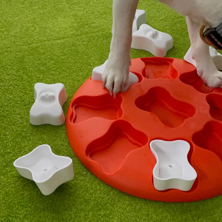 E5449637 4465 4d9b 9313 a830ba1f70ab 1684192175026