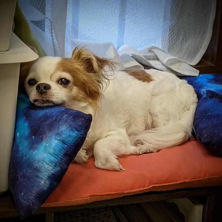 E5449ac1 4702 428b a3d1 b497c62eae35 1623479445653