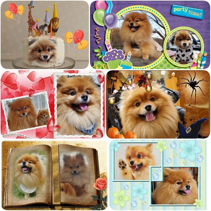 E544b4ec 3d58 48e3 bf71 c90b0fa054da 1634832831102