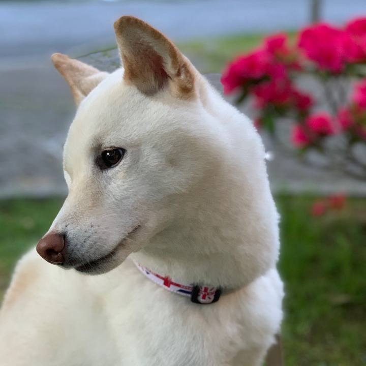 E544be48 1637 4fd2 81bf 8b65415cd779 1727653825995